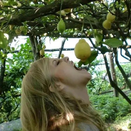 Maison Evita * ソレント